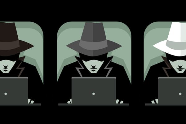 grey hat hacker