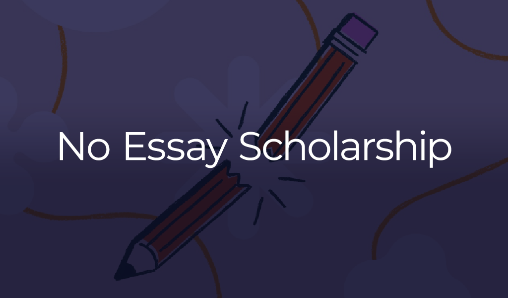 No Essay Scholarship banner