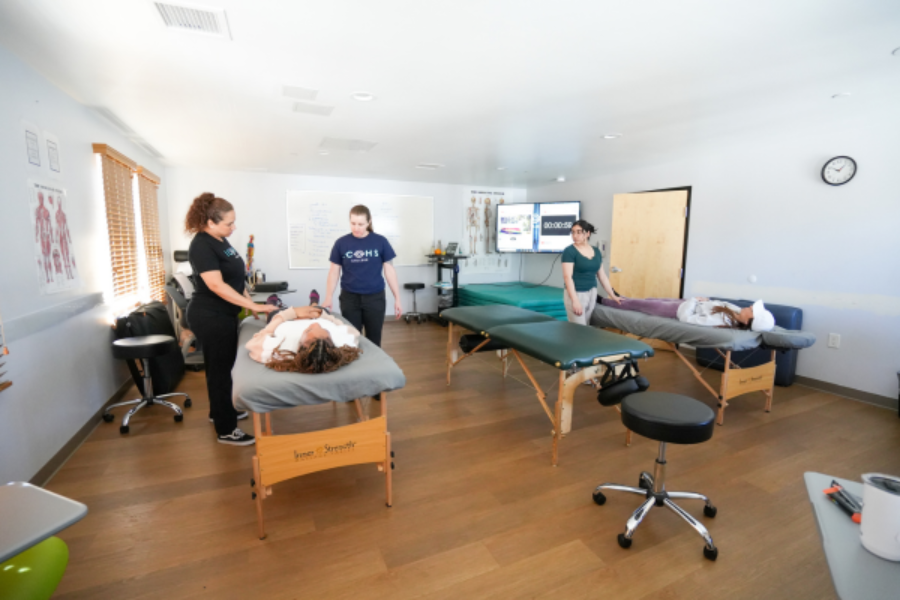 Holistic Health for Mental Wellness 