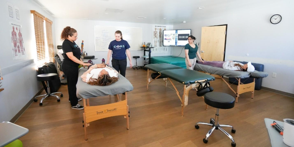 massage therapist career